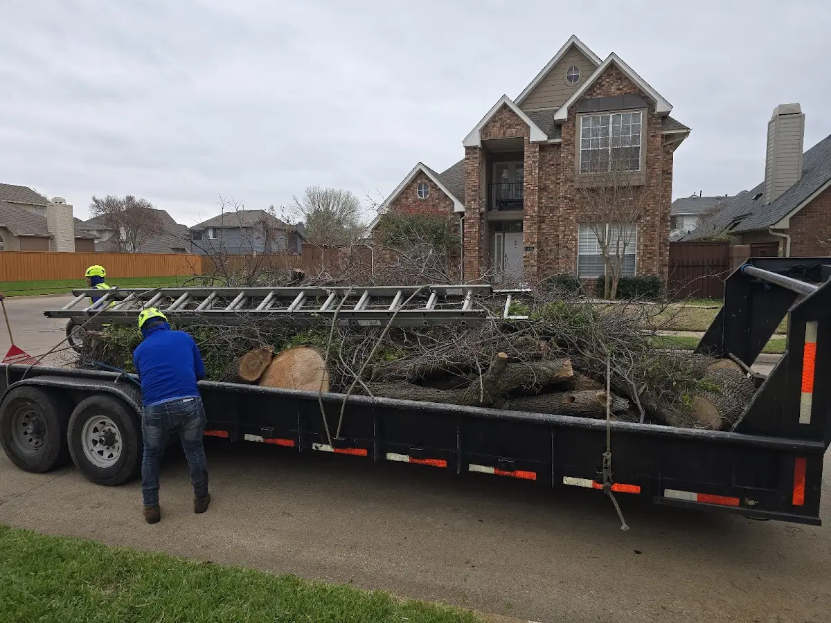 Expert Lot Clearing with proper safety equipment in Piney Point